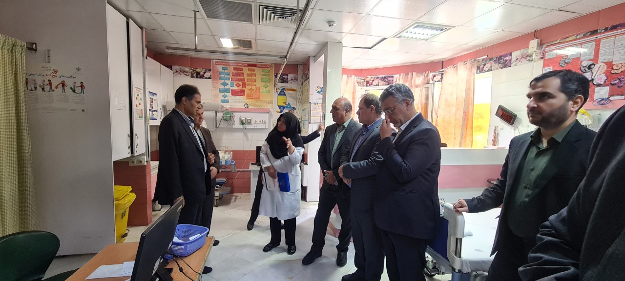 photo1752570436-6.jpeg - 199.28 kB